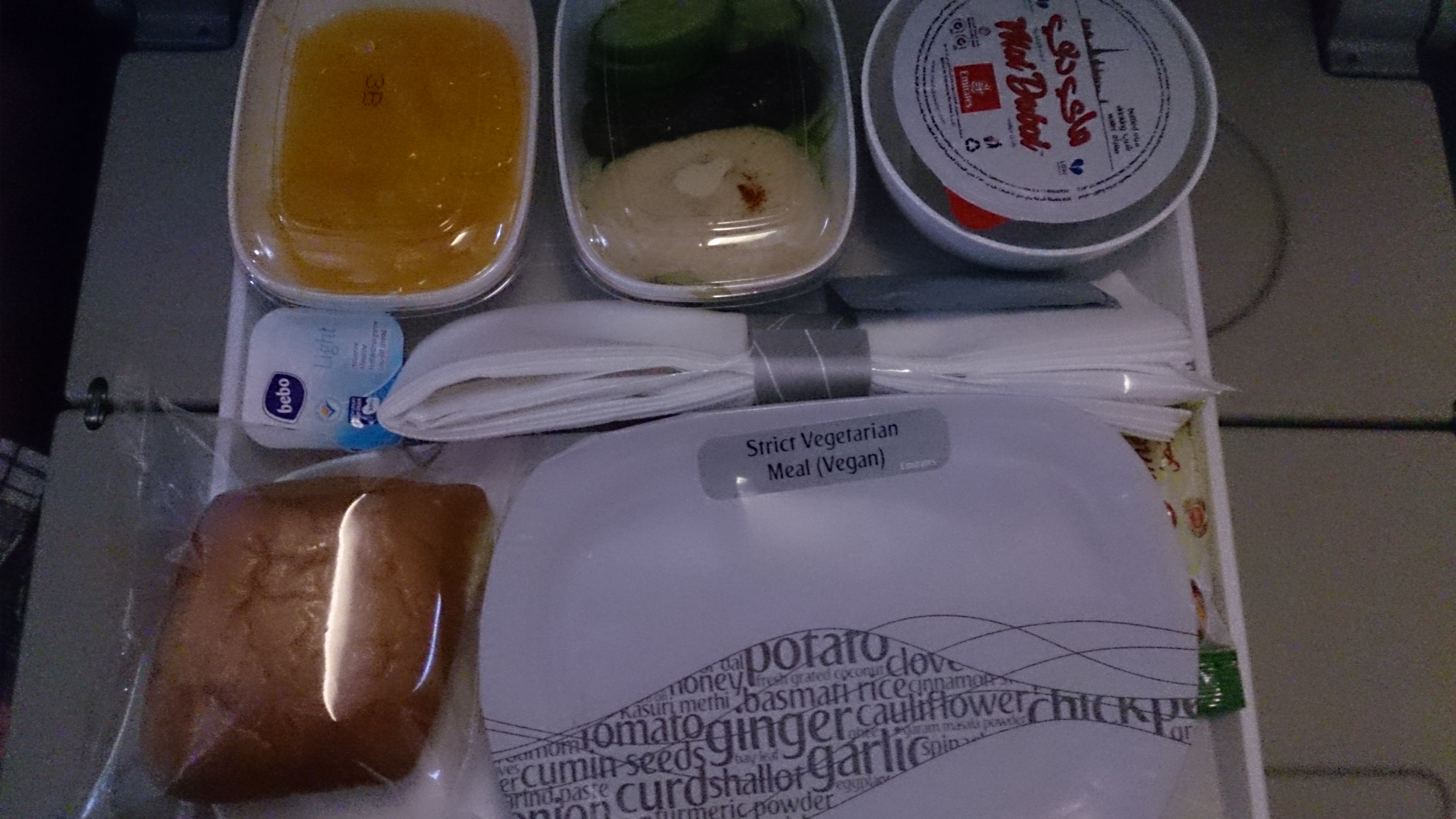 Vegan im Flieger Healthy Vegan Life